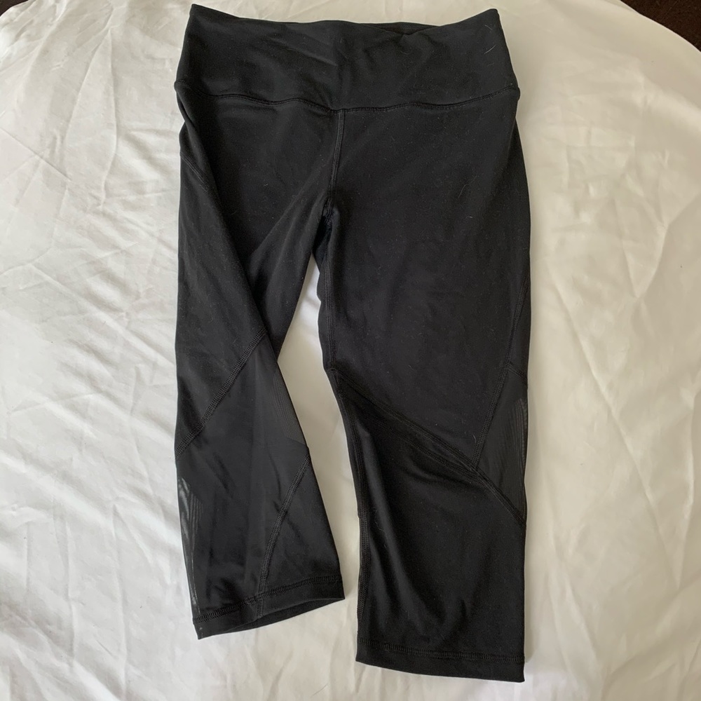 Knockout Capri crop